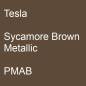 Preview: Tesla, Sycamore Brown Metallic, PMAB.